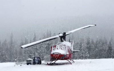 The Canuck: Built for Deep Snow and Hard Work
